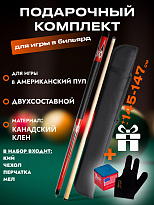 Подарочный комплект из кия бильярдного для пула Favorite Elite A10 двусоставного с чехлом и перчаткой